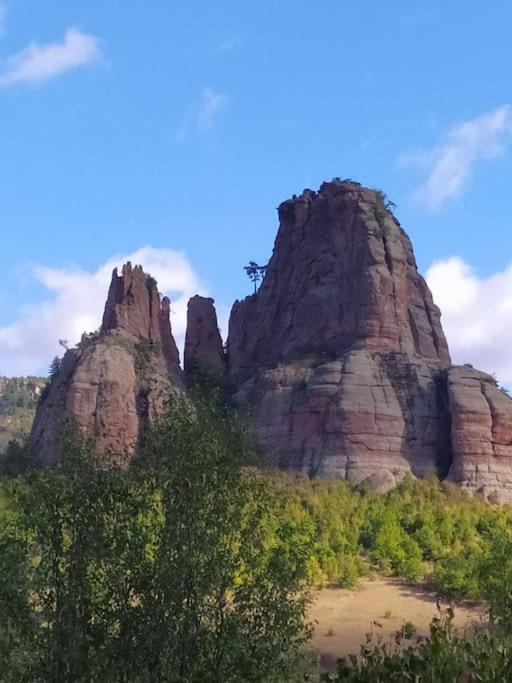Ижата - Топлина И Уют Borovitsa エクステリア 写真